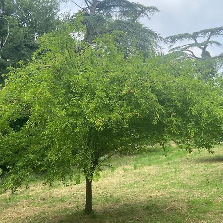 فندق La Grange De Garac Saint-Christaud  المظهر الخارجي الصورة